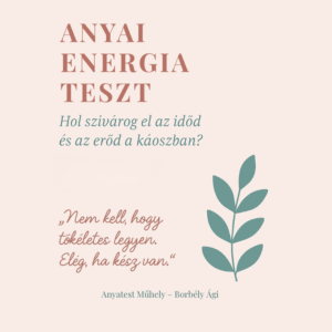 Anyai Energia Teszt - Hol szivárog el az időd és az erőd a káoszban?